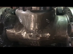 ASME API Standard WCB CF8 CF8M Swing Check Valve برای استفاده از بخار آب و روغن